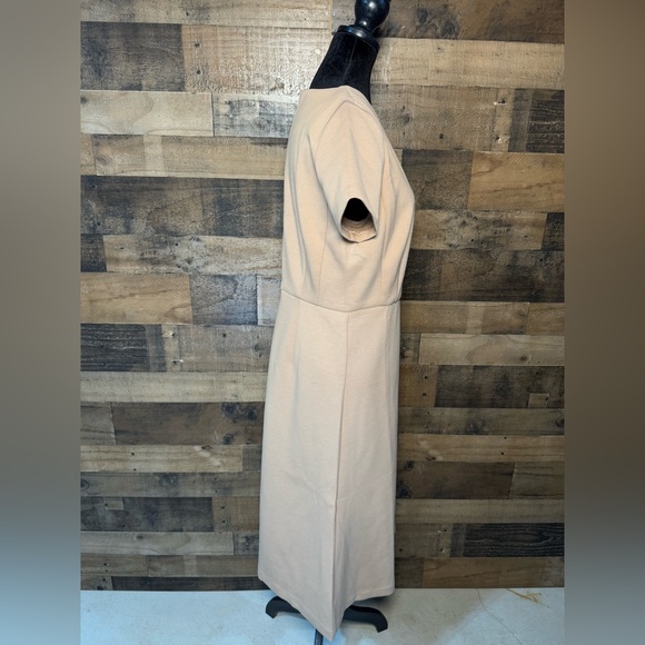 NEW NWT NIP Ann Taylor Flare Dress Knit Natural Camel Tan Women's Size 10 AB 511 - Picture 6 of 13